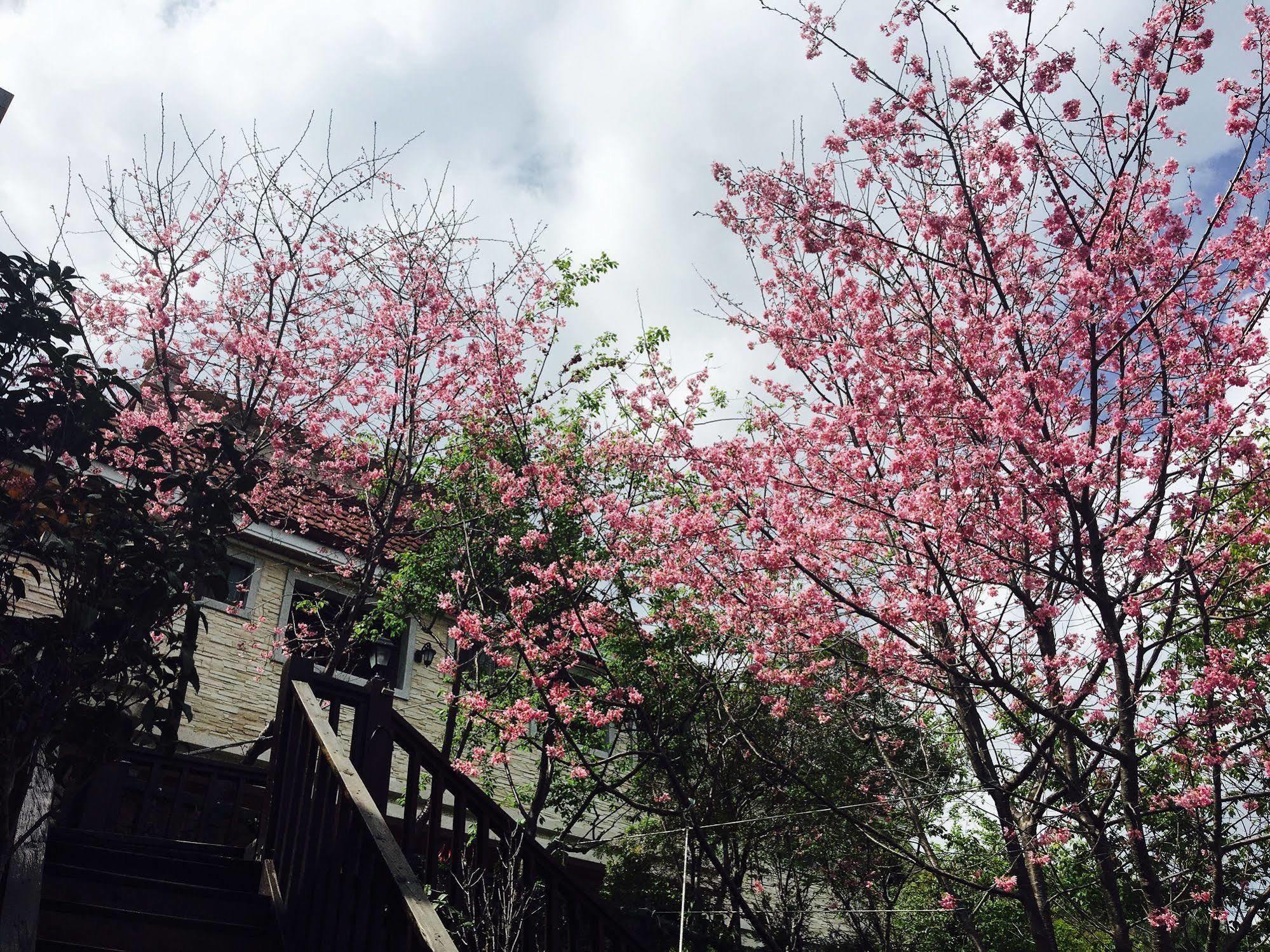 Spring Ground Resort Renai Exterior foto